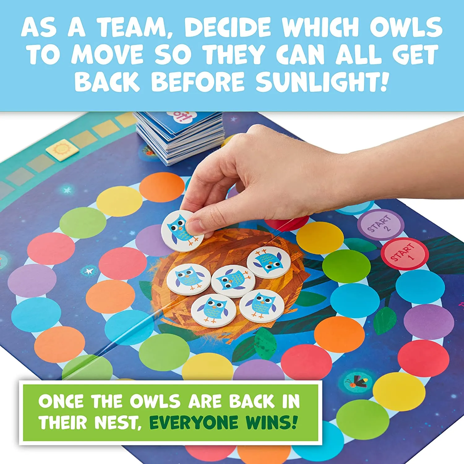 Hoot Owl Hoot!